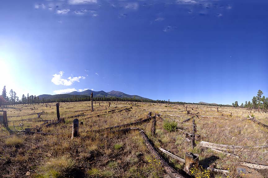 San Francisco Peaks, Arizona, September 18, 2011